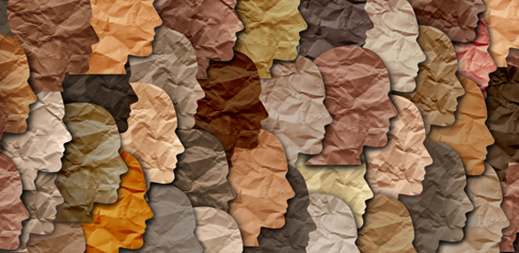 The DiploAI Ecosystem 21 Slate, Texture, Home Decor, Art, Collage, Rock, Leaf, Plant