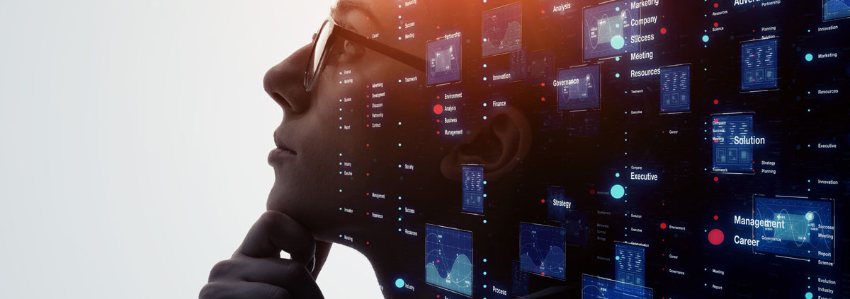 The DiploAI Ecosystem 1 Computer Hardware, Electronics, Hardware, Monitor, Screen, Face, Head, Person