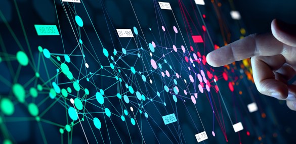 Knowledge hub 2 Baby, Person, Network