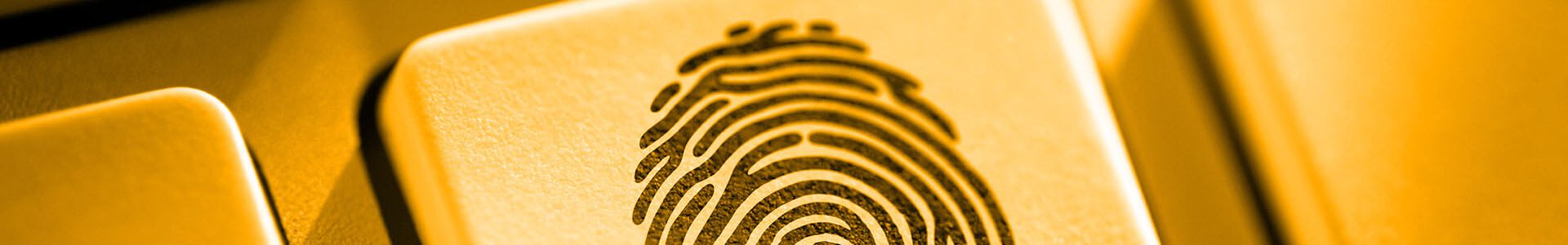 privacy Gold, Computer, Computer Hardware, Computer Keyboard, Electronics, Hardware